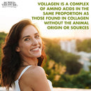 CLEARANCE! Buried Treasure Green20 Fusion with Vollagen® 33 oz, BEST BY 07/2025 - DailyVita