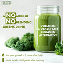 CLEARANCE! Buried Treasure Green20 Fusion with Vollagen® 33 oz, BEST BY 07/2025 - DailyVita