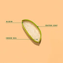 CLEARANCE! Lily of the Desert Organic Aloe Vera Juice Whole Leaf 32 fl oz, BEST BY 02/2026 - DailyVita