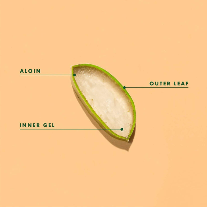 CLEARANCE! Lily of the Desert Organic Aloe Vera Juice Whole Leaf 32 fl oz, BEST BY 02/2026 - DailyVita