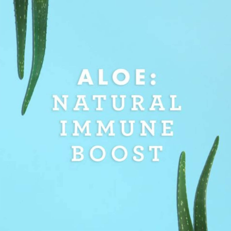 CLEARANCE! Lily of the Desert Organic Aloe Vera Juice Whole Leaf 32 fl oz, BEST BY 02/2026 - DailyVita