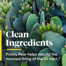 Enzymedica Heartburn Soothe 90 Capsules - DailyVita