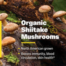 Enzymedica Organic Vitamin D3+K2 60 Capsules - DailyVita