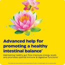 Buy Enzymedica Candidase Extra Strength (42 Capsules) Online