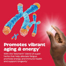 Enzymedica Telomere Plus 30 Capsules - DailyVita