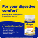 Enzymedica Ginger & vitamin B6 Gummies 60 Gummies - DailyVita