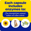 Order Enzymedica Allerase 60 Capsules Online