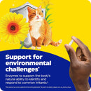 Order Enzymedica Allerase 60 Capsules Online