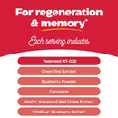 Enzymedica Stem XCell 60 Capsules - DailyVita