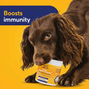 Enzymedica Enzymates Doggy Digestive Enzymes - 30 servings - DailyVita