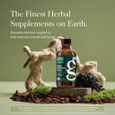 Gaia Herbs® Elderberry Syrup 3 oz - DailyVita