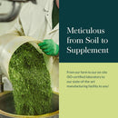 Gaia Herbs® Elderberry Syrup 3 oz - DailyVita