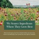 Gaia Herbs® Elderberry Syrup 3 oz - DailyVita