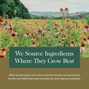 Gaia Herbs® Holy Basil Leaf 60 Vegan Liquid Phyto-Caps - DailyVita