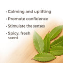 Plant Therapy Laurel Leaf Essential Oil 10 mL - DailyVita