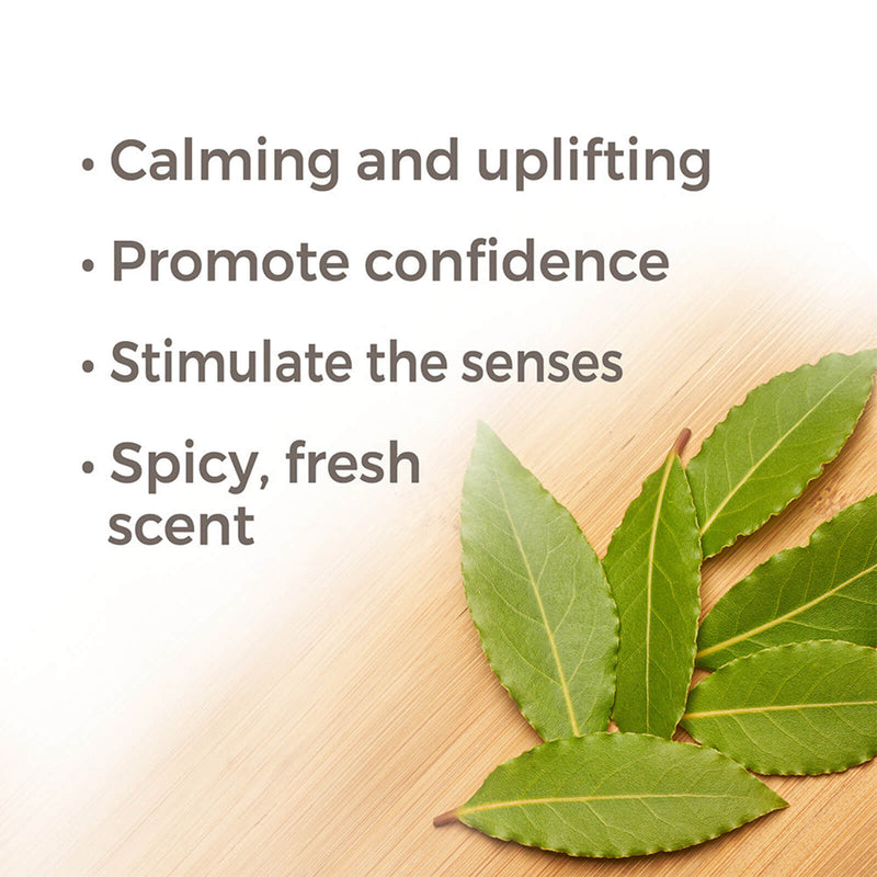 Plant Therapy Laurel Leaf Essential Oil 10 mL