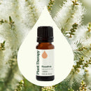 Plant Therapy Energy Essential Oil Blend 10 mL - DailyVita