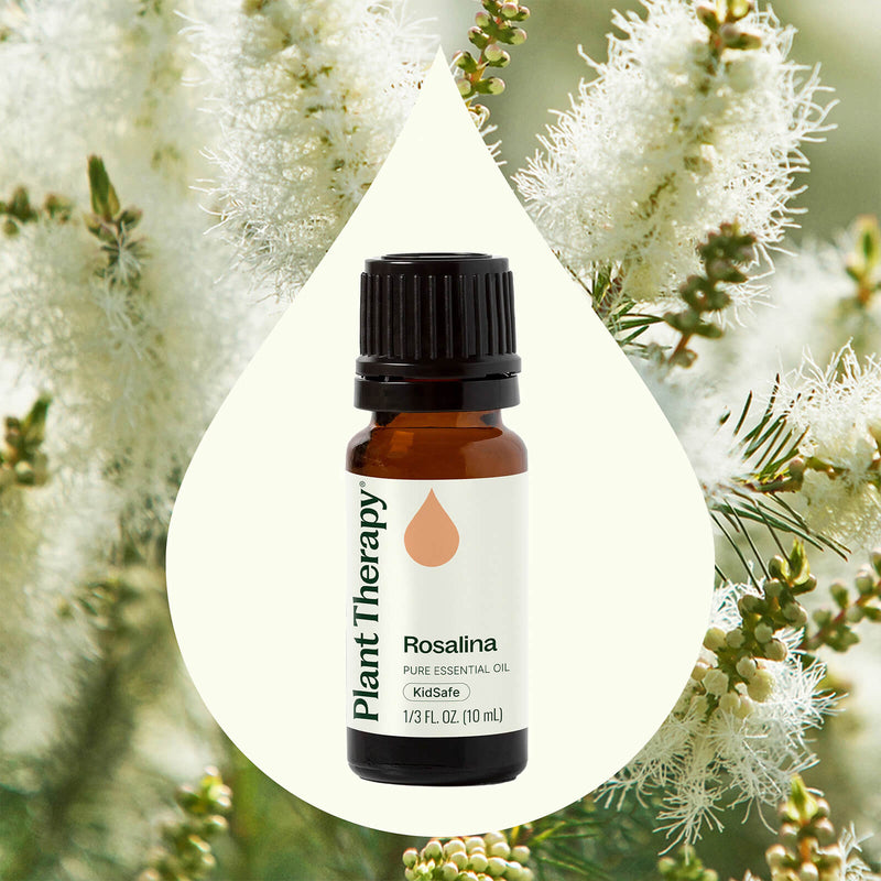 Plant Therapy Energy Essential Oil Blend 10 mL