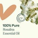 Plant Therapy Energy Essential Oil Blend 10 mL - DailyVita