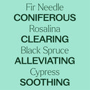 Plant Therapy Sniffle Stopper KidSafe Essential Oil 10 mL - DailyVita