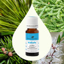 Plant Therapy Sniffle Stopper KidSafe Essential Oil 10 mL - DailyVita