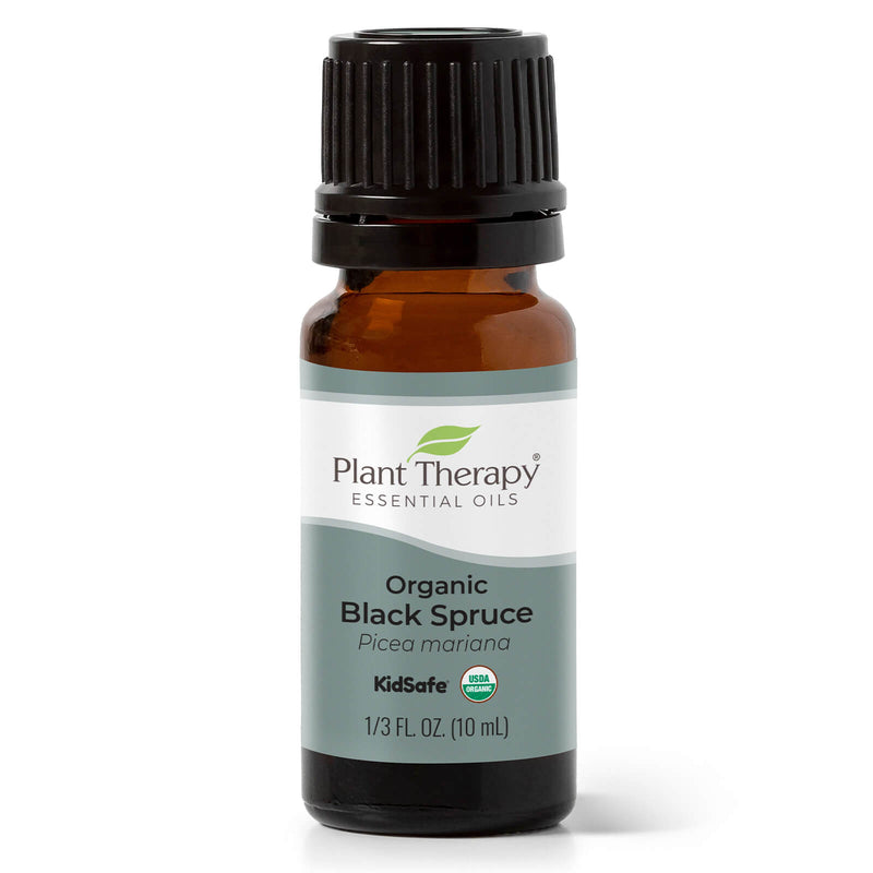 Plant Therapy Organic Black Spruce Essential Oil 10 mL