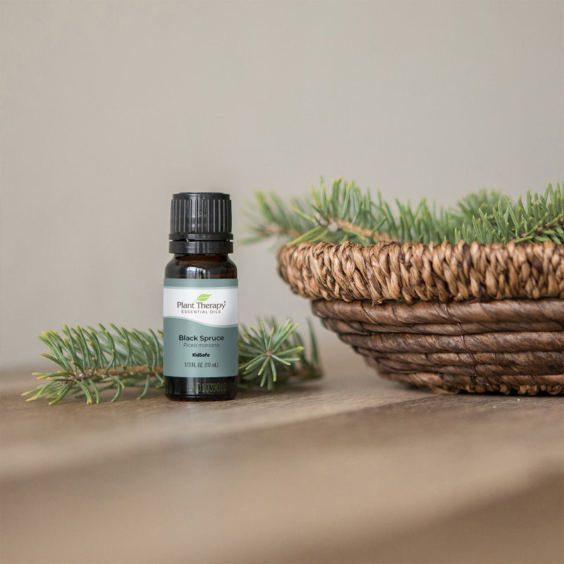 Plant Therapy Organic Black Spruce Essential Oil 10 mL