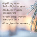 Plant Therapy Organic Black Spruce Essential Oil 10 mL - DailyVita