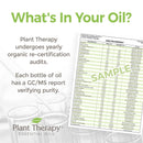 Plant Therapy Organic Black Spruce Essential Oil 10 mL - DailyVita