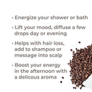 Plant Therapy Wood Spice Essential Oil Blend 10 mL - DailyVita