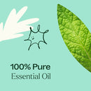 Plant Therapy Higher Connection (Crown Chakra) 10 mL - DailyVita