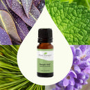 Plant Therapy Respir Aid Essential Oil Blend 10 mL - DailyVita