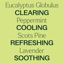 Plant Therapy Respir Aid Essential Oil Blend 10 mL - DailyVita