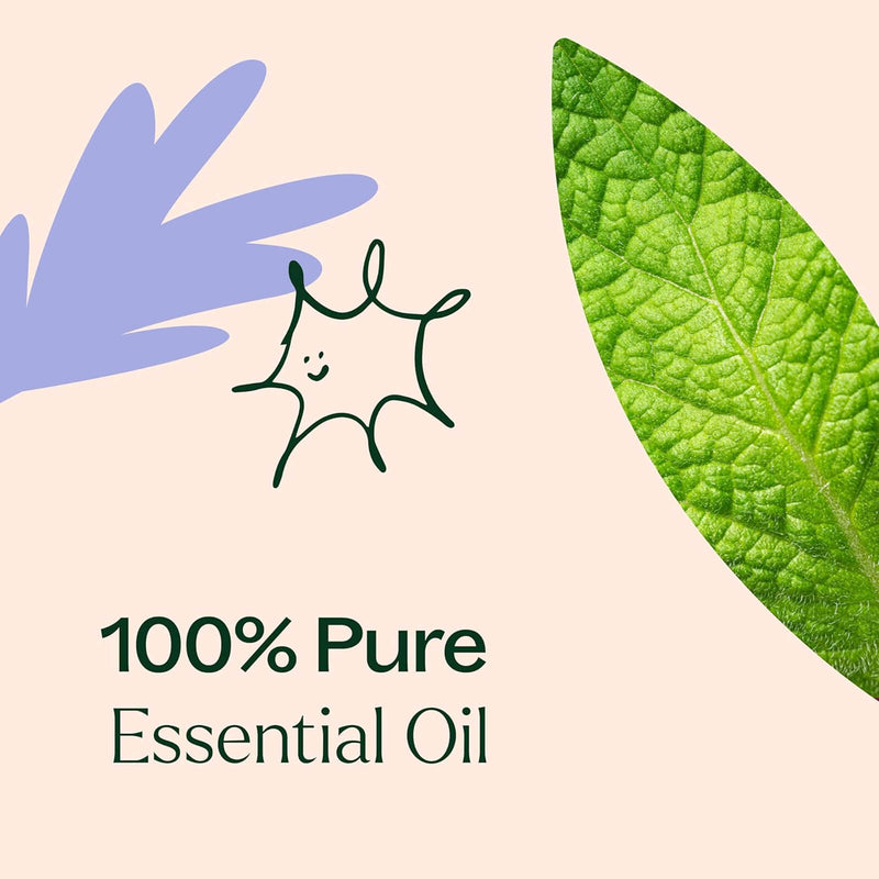 Plant Therapy Respir Aid Essential Oil Blend 10 mL