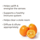 Plant Therapy Kumquat Essential Oil 10 mL - DailyVita