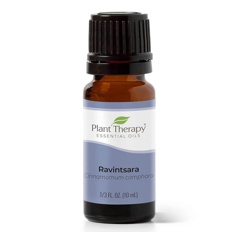 Plant Therapy Ravintsara Essential Oil 10 mL