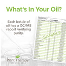 Plant Therapy Ravintsara Essential Oil 10 mL - DailyVita