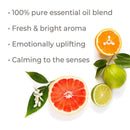 Plant Therapy Honeybell Essential Oil Blend 10 mL - DailyVita