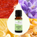 Plant Therapy Defender™ Essential Oil Blend 10 mL - DailyVita