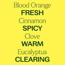 Plant Therapy Germ Fighter Essential Oil Blend 10 mL - DailyVita