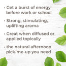 Plant Therapy Tension Relief Essential Oil Blend 10 mL - DailyVita