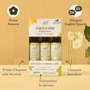 Bach TRIO Clarity of Mind Kit 10ml AF