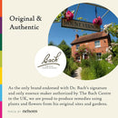 Bach TRIO Fear No More Kit 10ml AF