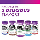 Bluebonnet Whey Protein Isolate Powder Original 2.2 lbs - DailyVita