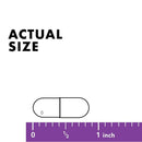 Bluebonnet Cellular Active Coenzyme B-Complex 50 Veg Capsules - DailyVita