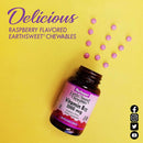 Bluebonnet Earthsweet Chewables Vitamin B-12 5000 mcg Raspberry 60 Tablets