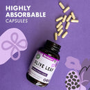 Bluebonnet Olive Leaf Extract 120 Veg Capsules