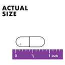 Bluebonnet Potassium 99 mg 90 Veg Capsules - DailyVita