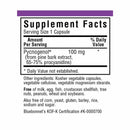 Bluebonnet Pycnogenol 100 mg 30 Veg Capsules - DailyVita