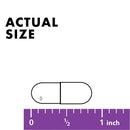 Bluebonnet Rutin 500 mg 50 Veg Capsules - DailyVita